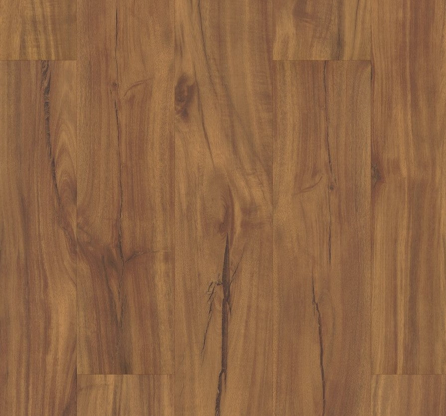 Gold Coast Acacia - Coretec vv023 Originals Classics