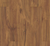 Gold Coast Acacia - Coretec vv023 Originals Classics