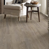Grey Chestnut - Shaw Vinyl Flooring - Anvil Plus 2357v