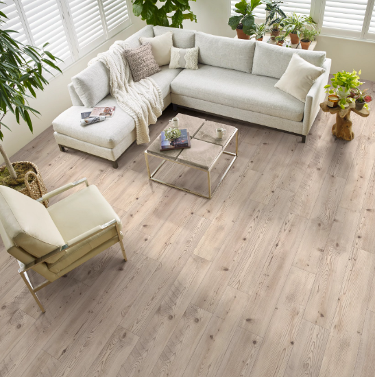 Prestique Pine - Shaw Vinyl Plank 2019v - Allegiance + ACC