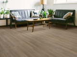 Raconteur - Shaw Infinite LL 3365v - Glue Down Vinyl Plank Flooring