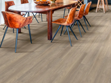 Salt River - Shaw Infinite LL 3365v - Glue Down Vinyl Plank Flooring