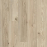 Savona - Shaw Vinyl Flooring - Paragon HD + Natural Bevel 3038v
