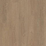 Wingback Brown - Shaw Vinyl Flooring - Fresh Take 3415v