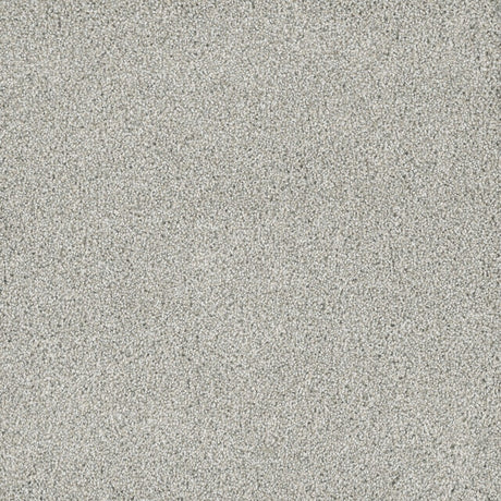 %flooring% %rigid_core% %the_floor_store_direct% %vinyl_floor% %floors% %floor% %specialty% %waterproof% %wearlayer% %spc% %spc_core% %wpc% %wpc_core% %vinyl_flooring% 