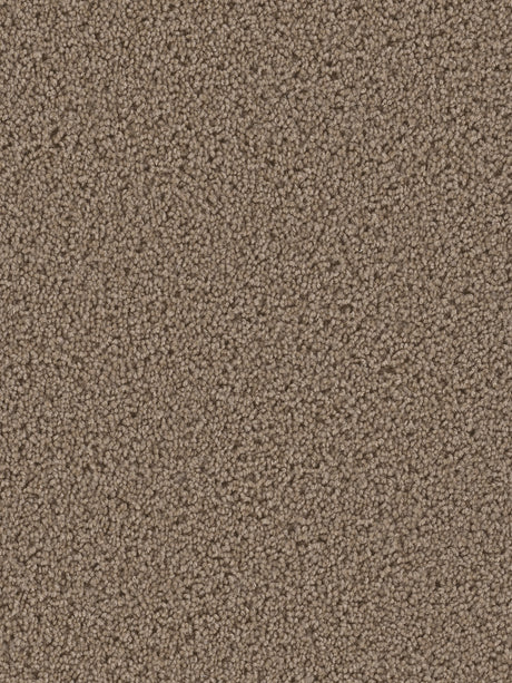 %flooring% %rigid_core% %the_floor_store_direct% %vinyl_floor% %floors% %floor% %specialty% %waterproof% %wearlayer% %spc% %spc_core% %wpc% %wpc_core% %vinyl_flooring% 