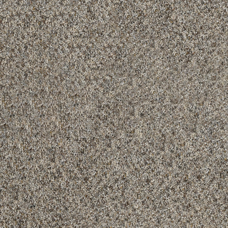 %flooring% %rigid_core% %the_floor_store_direct% %vinyl_floor% %floors% %floor% %specialty% %waterproof% %wearlayer% %spc% %spc_core% %wpc% %wpc_core% %vinyl_flooring% 