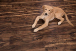 %flooring% %rigid_core% %the_floor_store_direct% %vinyl_floor% %floors% %floor% %specialty% %waterproof% %wearlayer% %spc% %spc_core% %wpc% %wpc_core% %vinyl_flooring% 