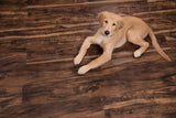 %flooring% %rigid_core% %the_floor_store_direct% %vinyl_floor% %floors% %floor% %specialty% %waterproof% %wearlayer% %spc% %spc_core% %wpc% %wpc_core% %vinyl_flooring% 