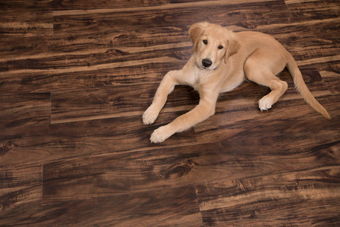%flooring% %rigid_core% %the_floor_store_direct% %vinyl_floor% %floors% %floor% %specialty% %waterproof% %wearlayer% %spc% %spc_core% %wpc% %wpc_core% %vinyl_flooring% 