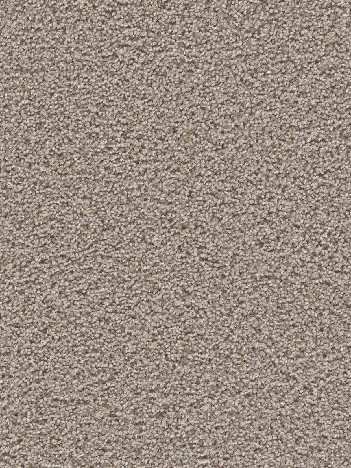 %flooring% %rigid_core% %the_floor_store_direct% %vinyl_floor% %floors% %floor% %specialty% %waterproof% %wearlayer% %spc% %spc_core% %wpc% %wpc_core% %vinyl_flooring% 