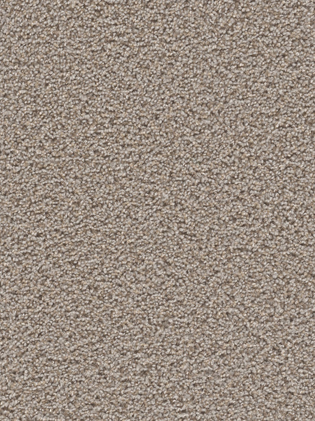 %flooring% %rigid_core% %the_floor_store_direct% %vinyl_floor% %floors% %floor% %specialty% %waterproof% %wearlayer% %spc% %spc_core% %wpc% %wpc_core% %vinyl_flooring% 