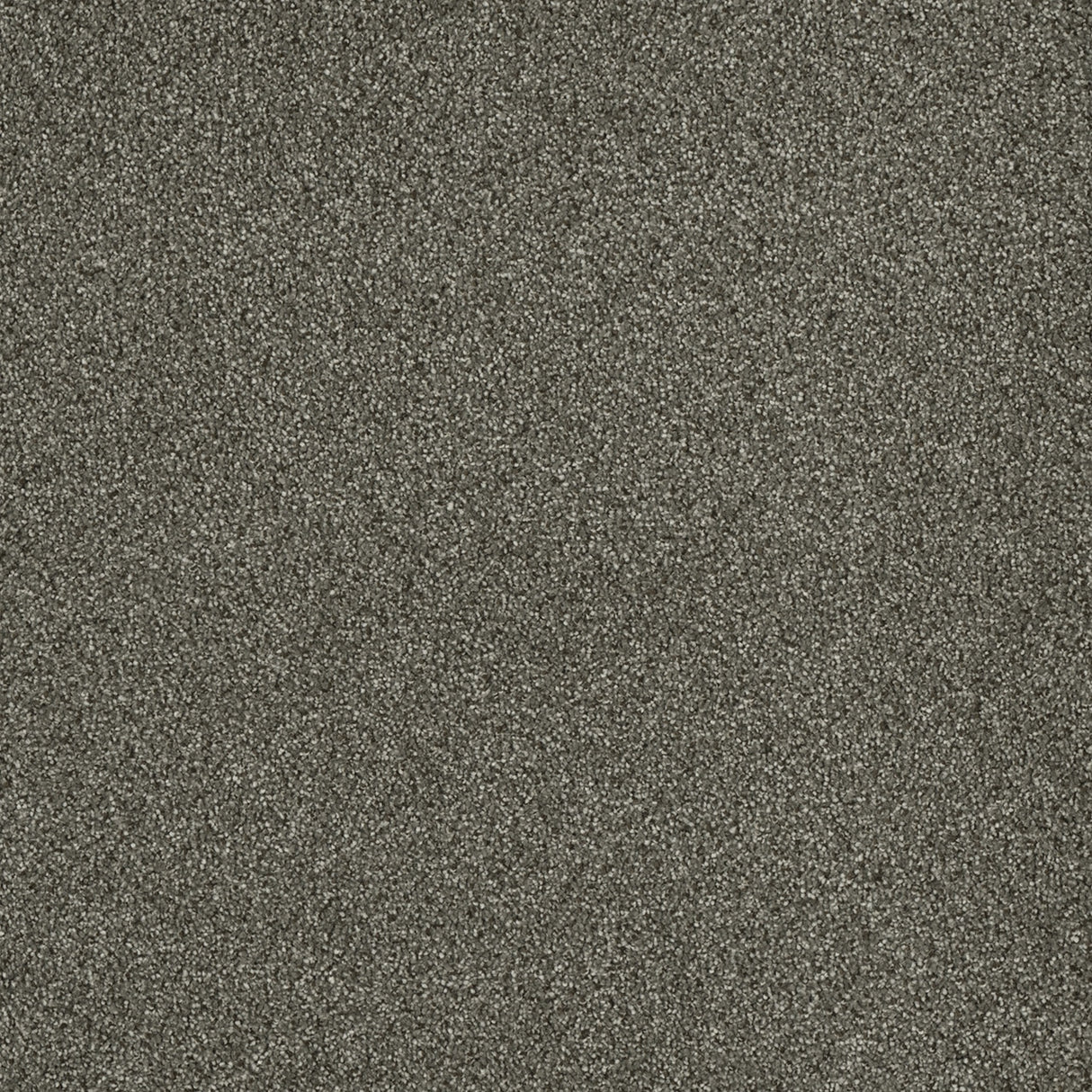 %flooring% %rigid_core% %the_floor_store_direct% %vinyl_floor% %floors% %floor% %specialty% %waterproof% %wearlayer% %spc% %spc_core% %wpc% %wpc_core% %vinyl_flooring% 