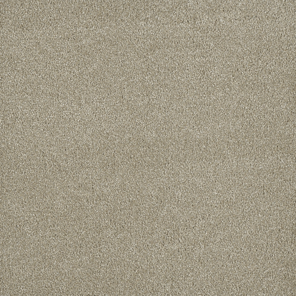 %flooring% %rigid_core% %the_floor_store_direct% %vinyl_floor% %floors% %floor% %specialty% %waterproof% %wearlayer% %spc% %spc_core% %wpc% %wpc_core% %vinyl_flooring% 