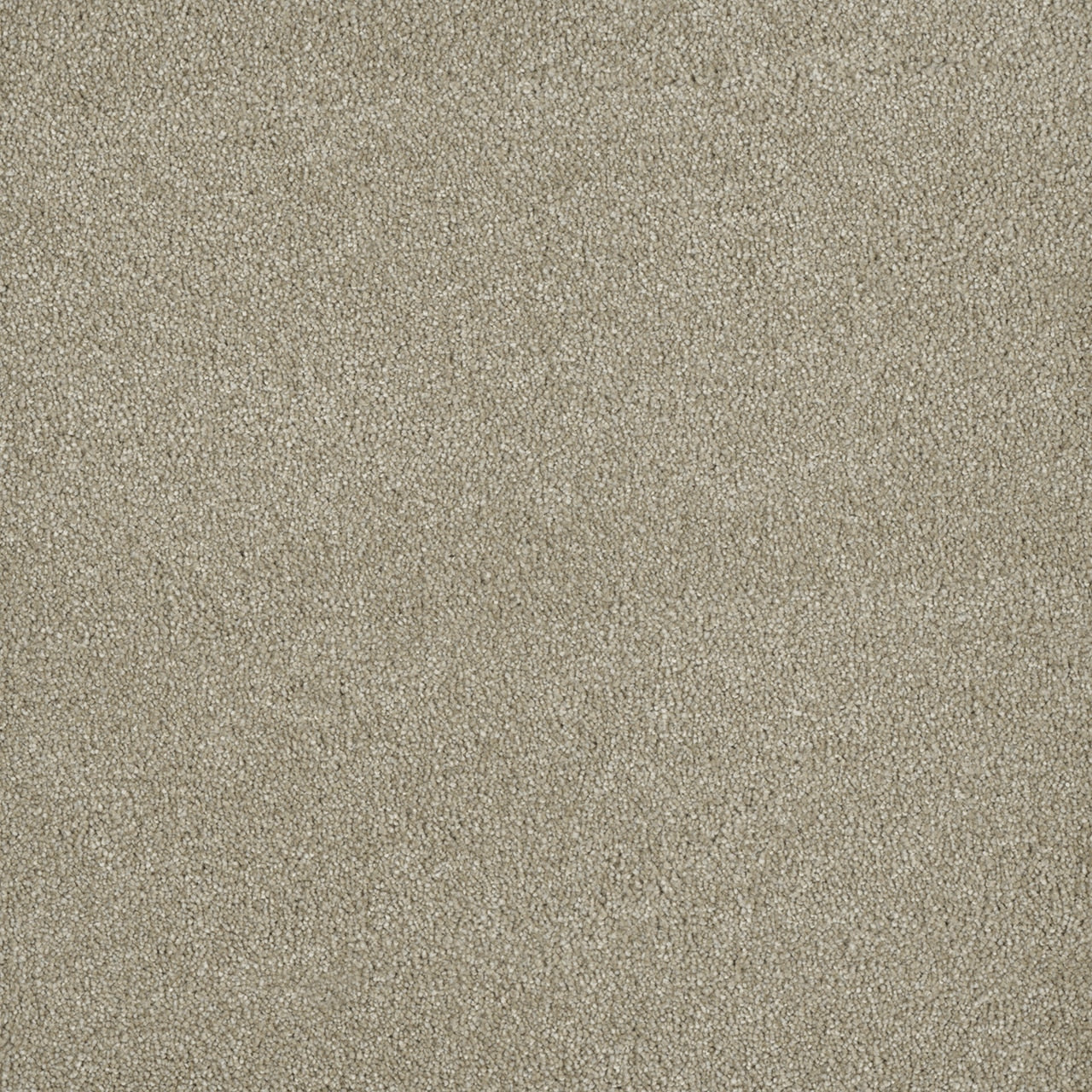 %flooring% %rigid_core% %the_floor_store_direct% %vinyl_floor% %floors% %floor% %specialty% %waterproof% %wearlayer% %spc% %spc_core% %wpc% %wpc_core% %vinyl_flooring% 