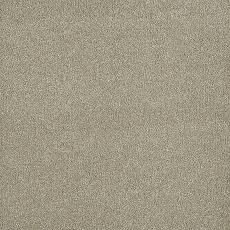 %flooring% %rigid_core% %the_floor_store_direct% %vinyl_floor% %floors% %floor% %specialty% %waterproof% %wearlayer% %spc% %spc_core% %wpc% %wpc_core% %vinyl_flooring% 