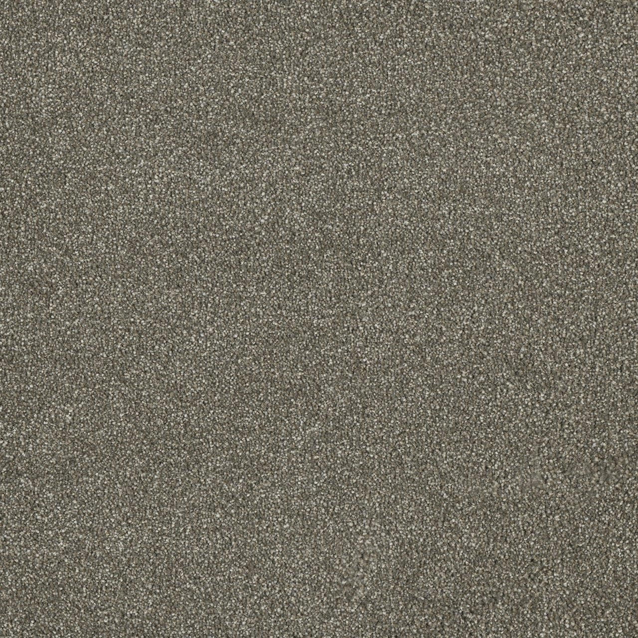 %flooring% %rigid_core% %the_floor_store_direct% %vinyl_floor% %floors% %floor% %specialty% %waterproof% %wearlayer% %spc% %spc_core% %wpc% %wpc_core% %vinyl_flooring% 