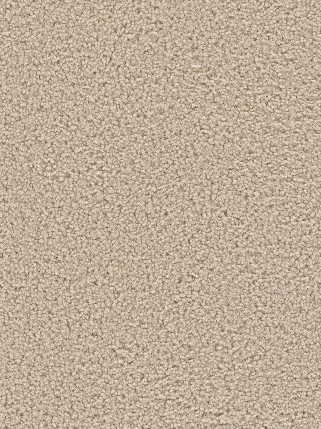 %flooring% %rigid_core% %the_floor_store_direct% %vinyl_floor% %floors% %floor% %specialty% %waterproof% %wearlayer% %spc% %spc_core% %wpc% %wpc_core% %vinyl_flooring% 