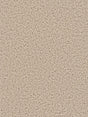 %flooring% %rigid_core% %the_floor_store_direct% %vinyl_floor% %floors% %floor% %specialty% %waterproof% %wearlayer% %spc% %spc_core% %wpc% %wpc_core% %vinyl_flooring% 
