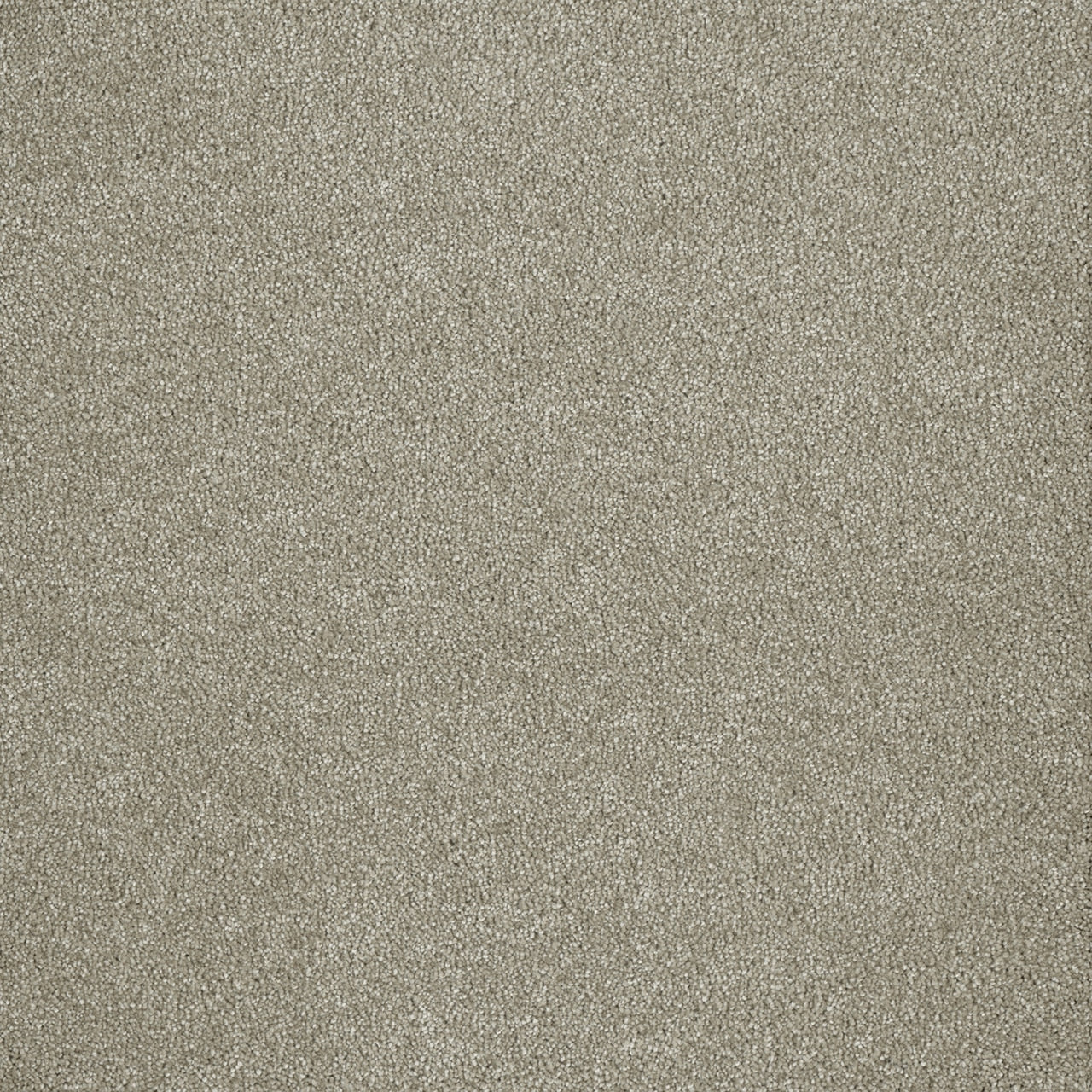 %flooring% %rigid_core% %the_floor_store_direct% %vinyl_floor% %floors% %floor% %specialty% %waterproof% %wearlayer% %spc% %spc_core% %wpc% %wpc_core% %vinyl_flooring% 