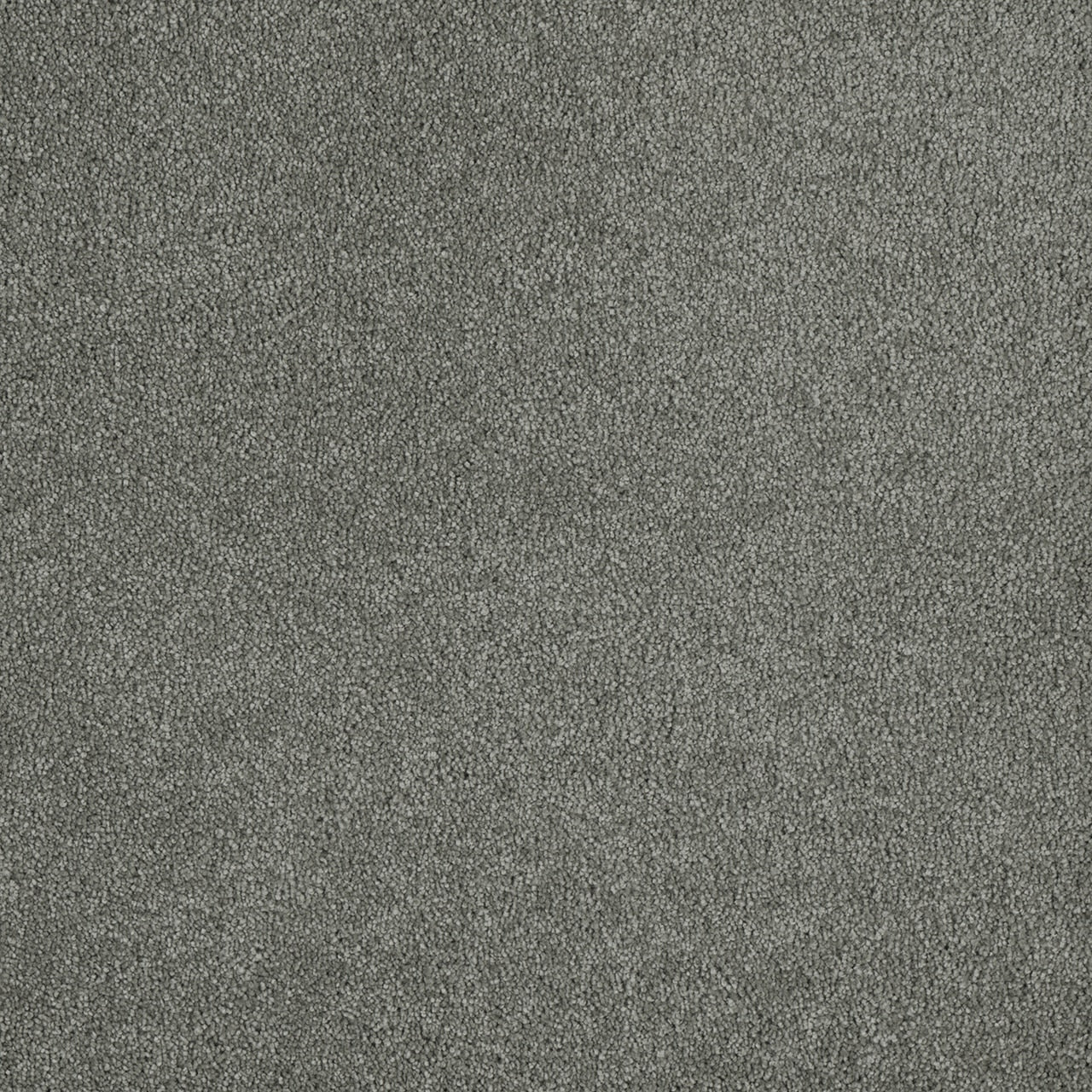 %flooring% %rigid_core% %the_floor_store_direct% %vinyl_floor% %floors% %floor% %specialty% %waterproof% %wearlayer% %spc% %spc_core% %wpc% %wpc_core% %vinyl_flooring% 