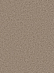 %flooring% %rigid_core% %the_floor_store_direct% %vinyl_floor% %floors% %floor% %specialty% %waterproof% %wearlayer% %spc% %spc_core% %wpc% %wpc_core% %vinyl_flooring% 