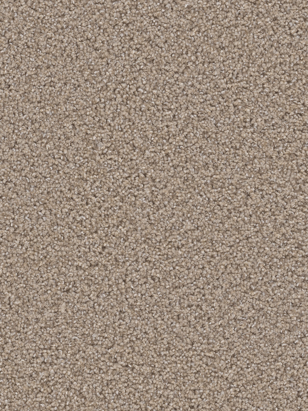 %flooring% %rigid_core% %the_floor_store_direct% %vinyl_floor% %floors% %floor% %specialty% %waterproof% %wearlayer% %spc% %spc_core% %wpc% %wpc_core% %vinyl_flooring% 