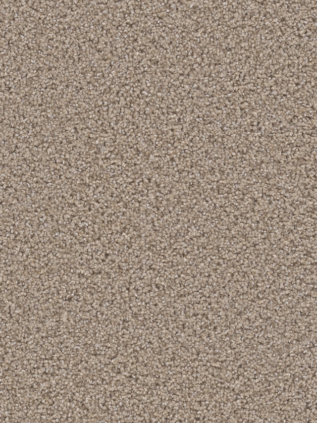 %flooring% %rigid_core% %the_floor_store_direct% %vinyl_floor% %floors% %floor% %specialty% %waterproof% %wearlayer% %spc% %spc_core% %wpc% %wpc_core% %vinyl_flooring% 