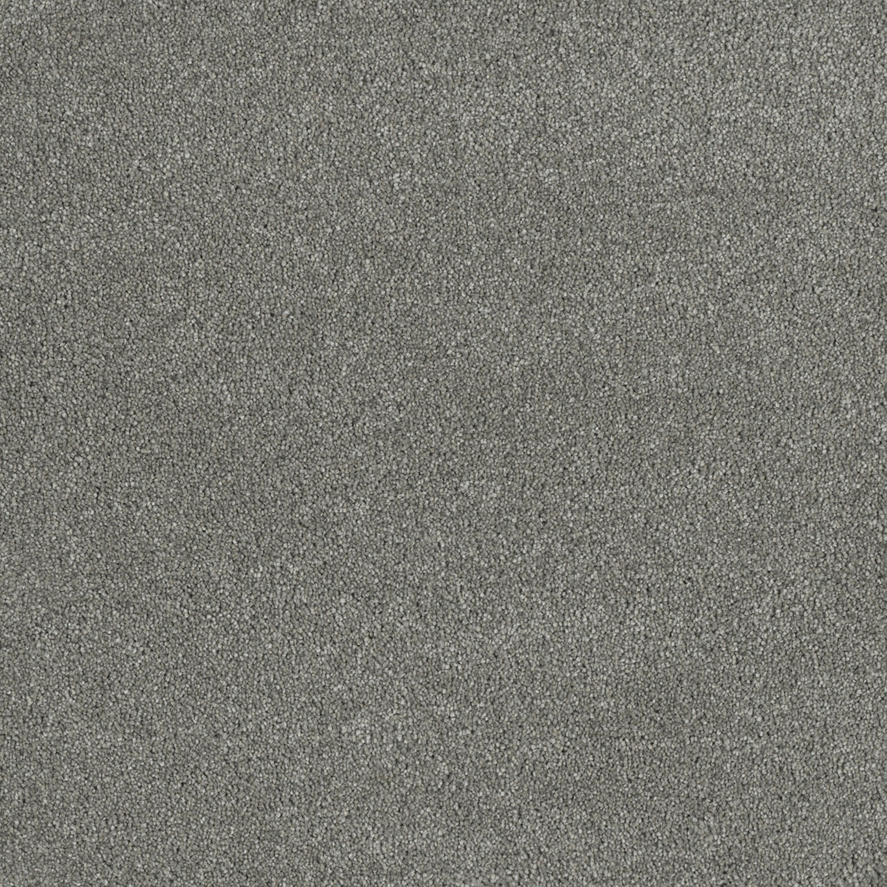 %flooring% %rigid_core% %the_floor_store_direct% %vinyl_floor% %floors% %floor% %specialty% %waterproof% %wearlayer% %spc% %spc_core% %wpc% %wpc_core% %vinyl_flooring% 