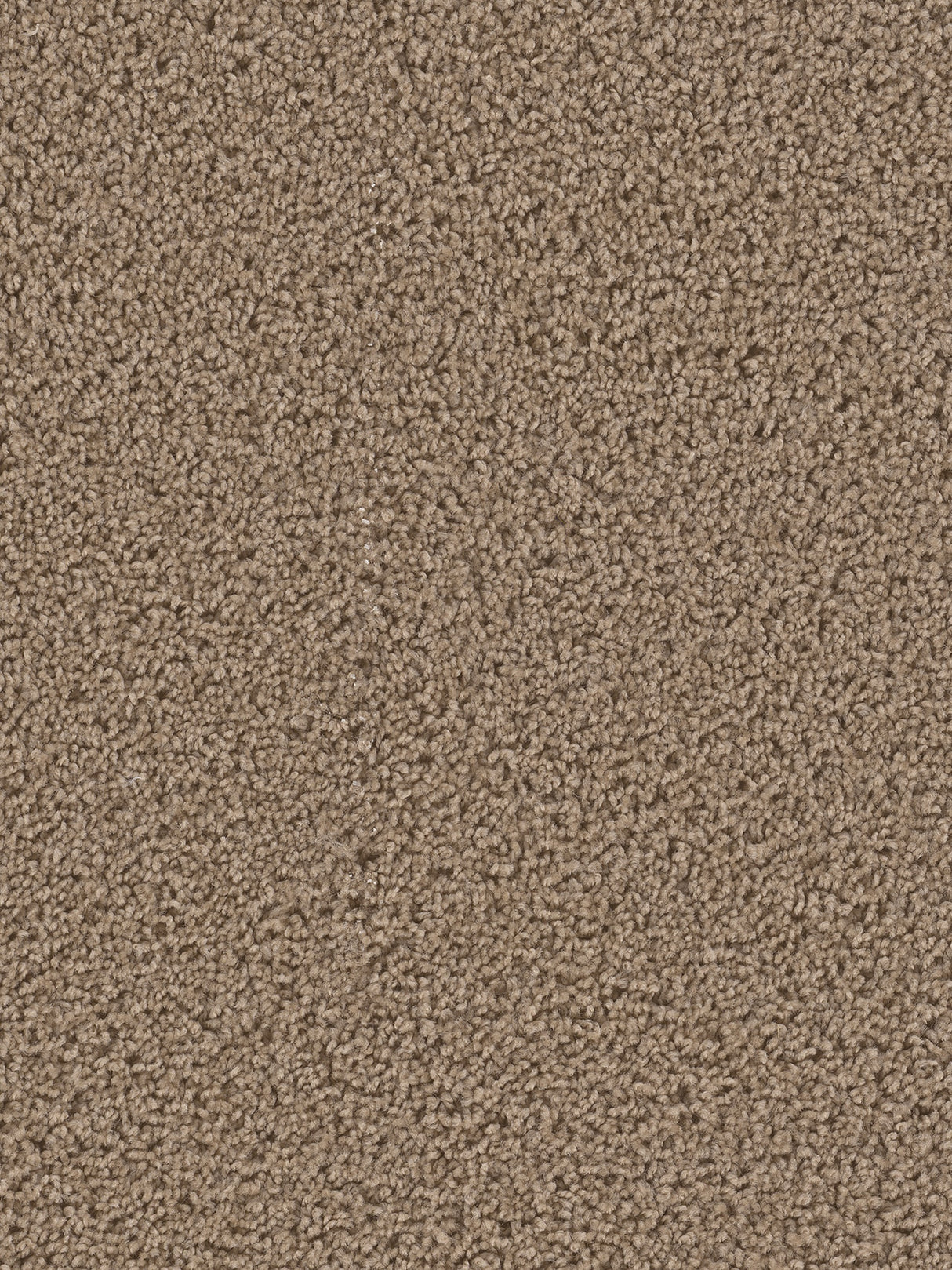 %flooring% %rigid_core% %the_floor_store_direct% %vinyl_floor% %floors% %floor% %specialty% %waterproof% %wearlayer% %spc% %spc_core% %wpc% %wpc_core% %vinyl_flooring% 