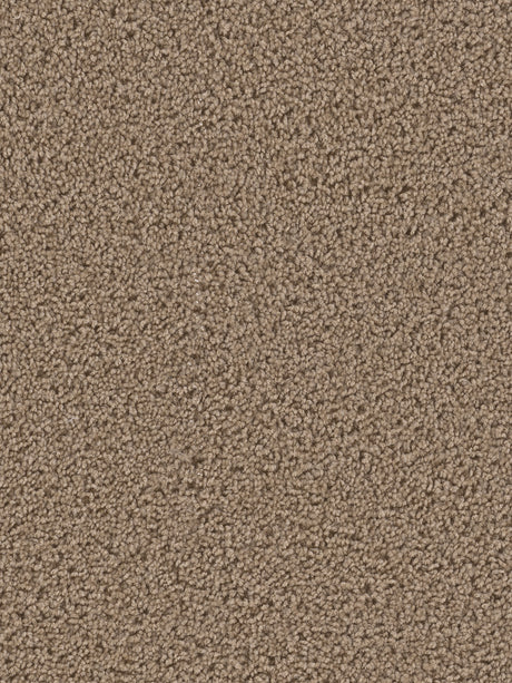 %flooring% %rigid_core% %the_floor_store_direct% %vinyl_floor% %floors% %floor% %specialty% %waterproof% %wearlayer% %spc% %spc_core% %wpc% %wpc_core% %vinyl_flooring% 
