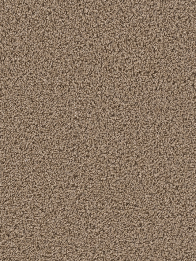 %flooring% %rigid_core% %the_floor_store_direct% %vinyl_floor% %floors% %floor% %specialty% %waterproof% %wearlayer% %spc% %spc_core% %wpc% %wpc_core% %vinyl_flooring% 
