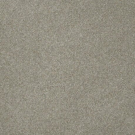 %flooring% %rigid_core% %the_floor_store_direct% %vinyl_floor% %floors% %floor% %specialty% %waterproof% %wearlayer% %spc% %spc_core% %wpc% %wpc_core% %vinyl_flooring% 