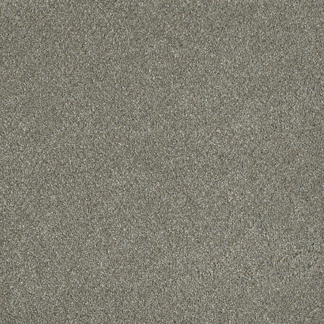 %flooring% %rigid_core% %the_floor_store_direct% %vinyl_floor% %floors% %floor% %specialty% %waterproof% %wearlayer% %spc% %spc_core% %wpc% %wpc_core% %vinyl_flooring% 