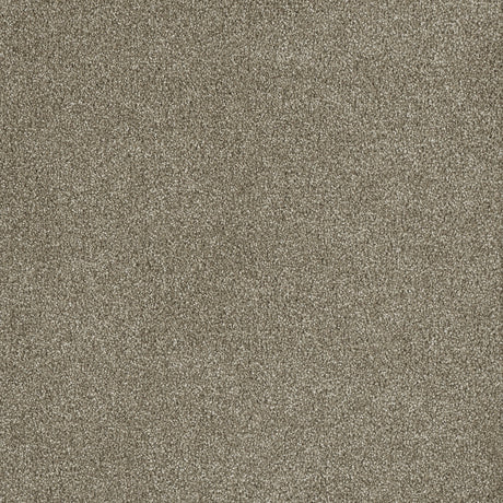 %flooring% %rigid_core% %the_floor_store_direct% %vinyl_floor% %floors% %floor% %specialty% %waterproof% %wearlayer% %spc% %spc_core% %wpc% %wpc_core% %vinyl_flooring% 