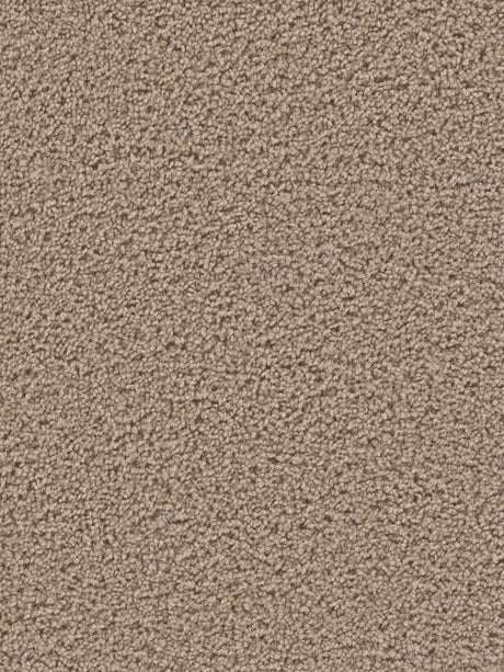 %flooring% %rigid_core% %the_floor_store_direct% %vinyl_floor% %floors% %floor% %specialty% %waterproof% %wearlayer% %spc% %spc_core% %wpc% %wpc_core% %vinyl_flooring% 