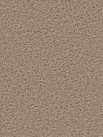 %flooring% %rigid_core% %the_floor_store_direct% %vinyl_floor% %floors% %floor% %specialty% %waterproof% %wearlayer% %spc% %spc_core% %wpc% %wpc_core% %vinyl_flooring% 