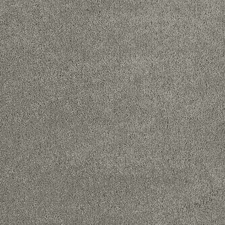 %flooring% %rigid_core% %the_floor_store_direct% %vinyl_floor% %floors% %floor% %specialty% %waterproof% %wearlayer% %spc% %spc_core% %wpc% %wpc_core% %vinyl_flooring% 