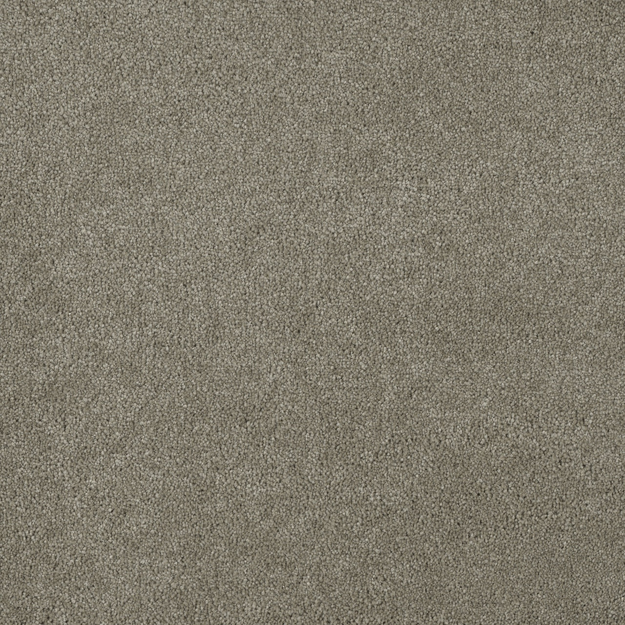 %flooring% %rigid_core% %the_floor_store_direct% %vinyl_floor% %floors% %floor% %specialty% %waterproof% %wearlayer% %spc% %spc_core% %wpc% %wpc_core% %vinyl_flooring% 