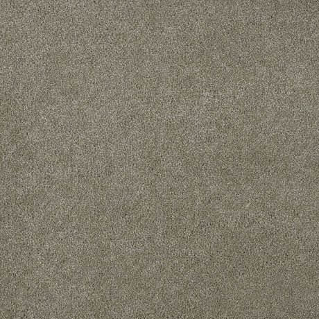 %flooring% %rigid_core% %the_floor_store_direct% %vinyl_floor% %floors% %floor% %specialty% %waterproof% %wearlayer% %spc% %spc_core% %wpc% %wpc_core% %vinyl_flooring% 