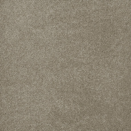 %flooring% %rigid_core% %the_floor_store_direct% %vinyl_floor% %floors% %floor% %specialty% %waterproof% %wearlayer% %spc% %spc_core% %wpc% %wpc_core% %vinyl_flooring% 
