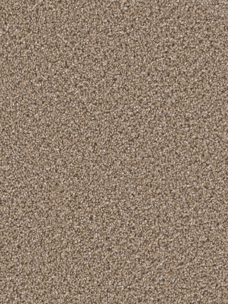 %flooring% %rigid_core% %the_floor_store_direct% %vinyl_floor% %floors% %floor% %specialty% %waterproof% %wearlayer% %spc% %spc_core% %wpc% %wpc_core% %vinyl_flooring% 